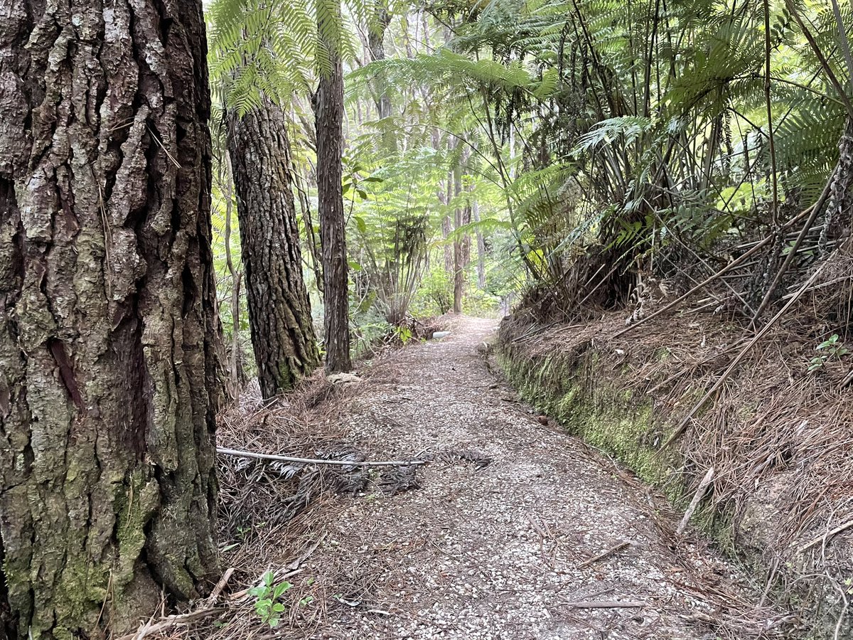 Lest you expect otherwise, this is little more than gravel. White, marble-sized gravel. &ndash; bei  Kimi Ora Spa Resort Kaiteriteri