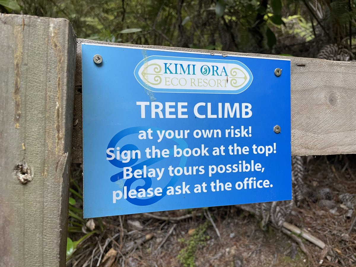 A diversion! Climb the tree, sign the book, be immortalized for all eternity. – bei  Kimi Ora Spa Resort Kaiteriteri