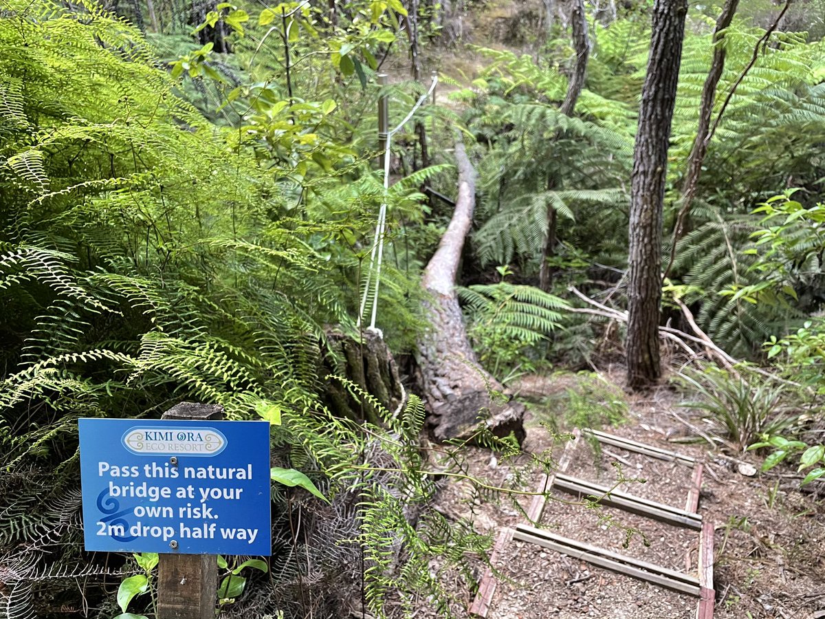 Luckily, the next diversion is not so foreboding: a natural bridge.“At your own risk” again, but this one is actually pretty sturdy, and rope hand-hold is well-secured. &ndash; bei  Kimi Ora Spa Resort Kaiteriteri