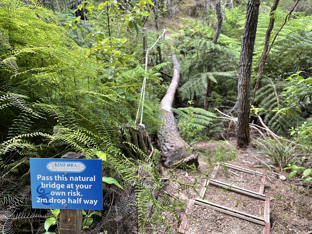 Luckily, the next diversion is not so foreboding: a natural bridge.“At your own risk” again, but this one is actually pretty sturdy, and rope hand-hold is well-secured. – bei  Kimi Ora Spa Resort Kaiteriteri
