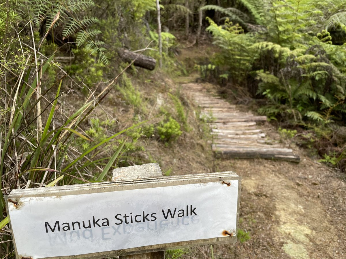 Walk on sticks on the Manuka Sticks Walk. – bei  Kimi Ora Spa Resort Kaiteriteri