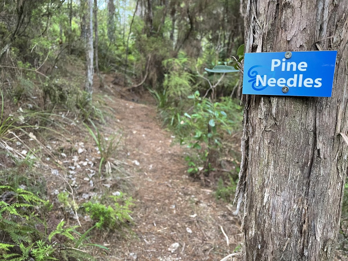 And, even though between segments you’ve basically been walking on pine straw throughout, now, formally: pine needles. – bei  Kimi Ora Spa Resort Kaiteriteri