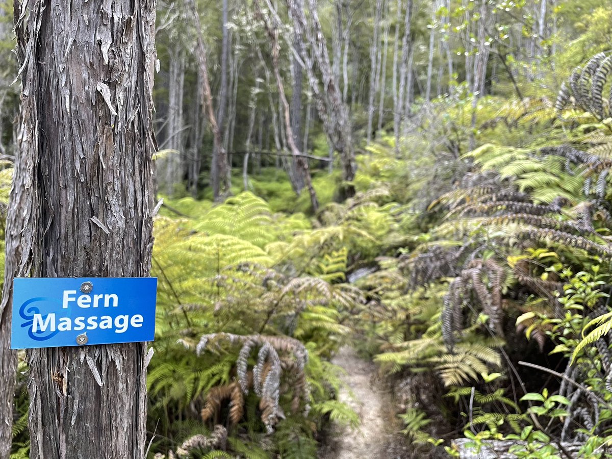 But barefoot walk is here to make it up to you: fern massage. &ndash; bei  Kimi Ora Spa Resort Kaiteriteri