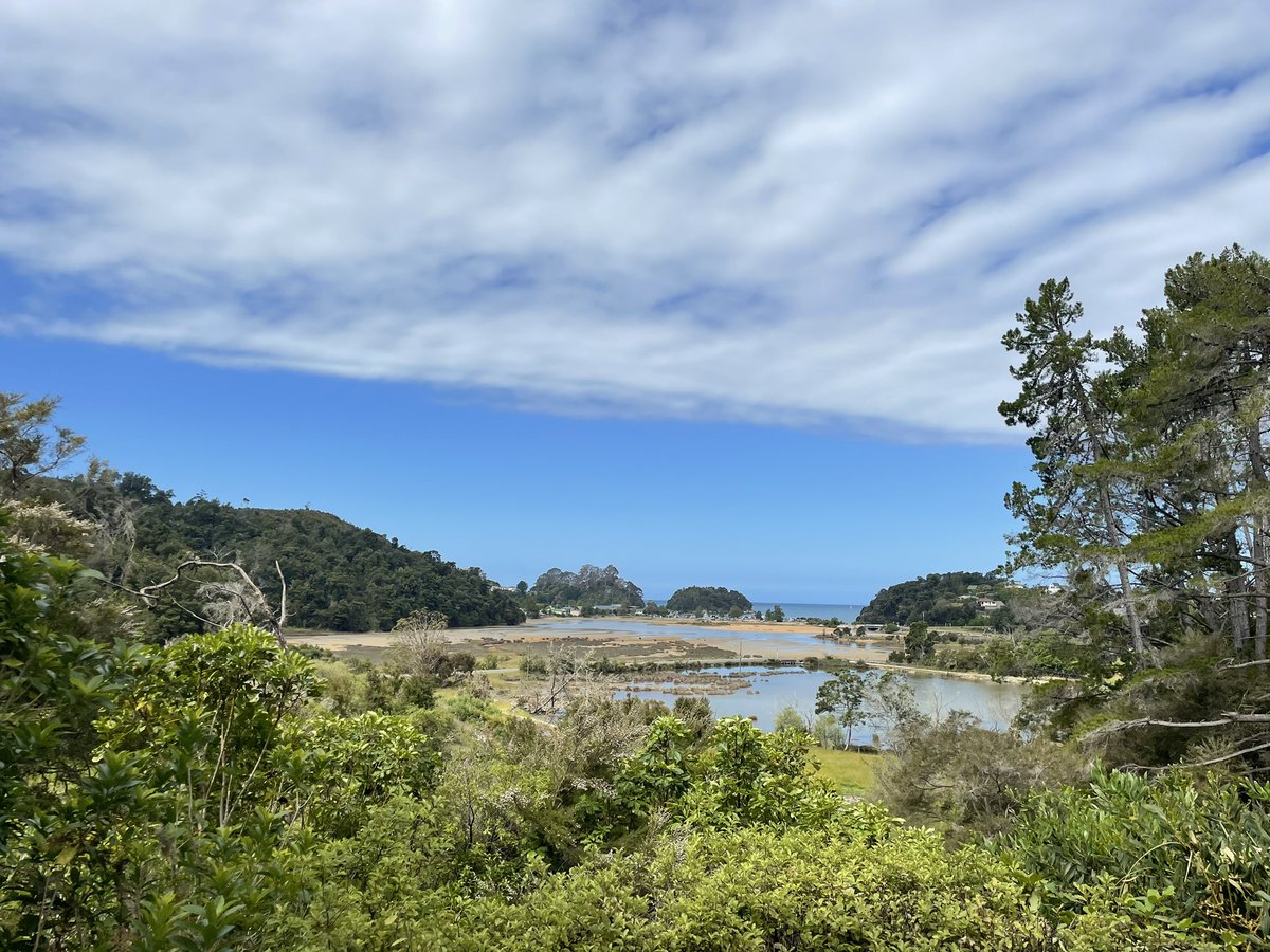 Now, don’t get me wrong - it was a lovely walk through quiet, glorious New Zealand forest - surrounded by giant ferns and bird calls.But take your shoes off AT YOUR OWN RISK.(end thread) &ndash; bei  Kimi Ora Spa Resort Kaiteriteri