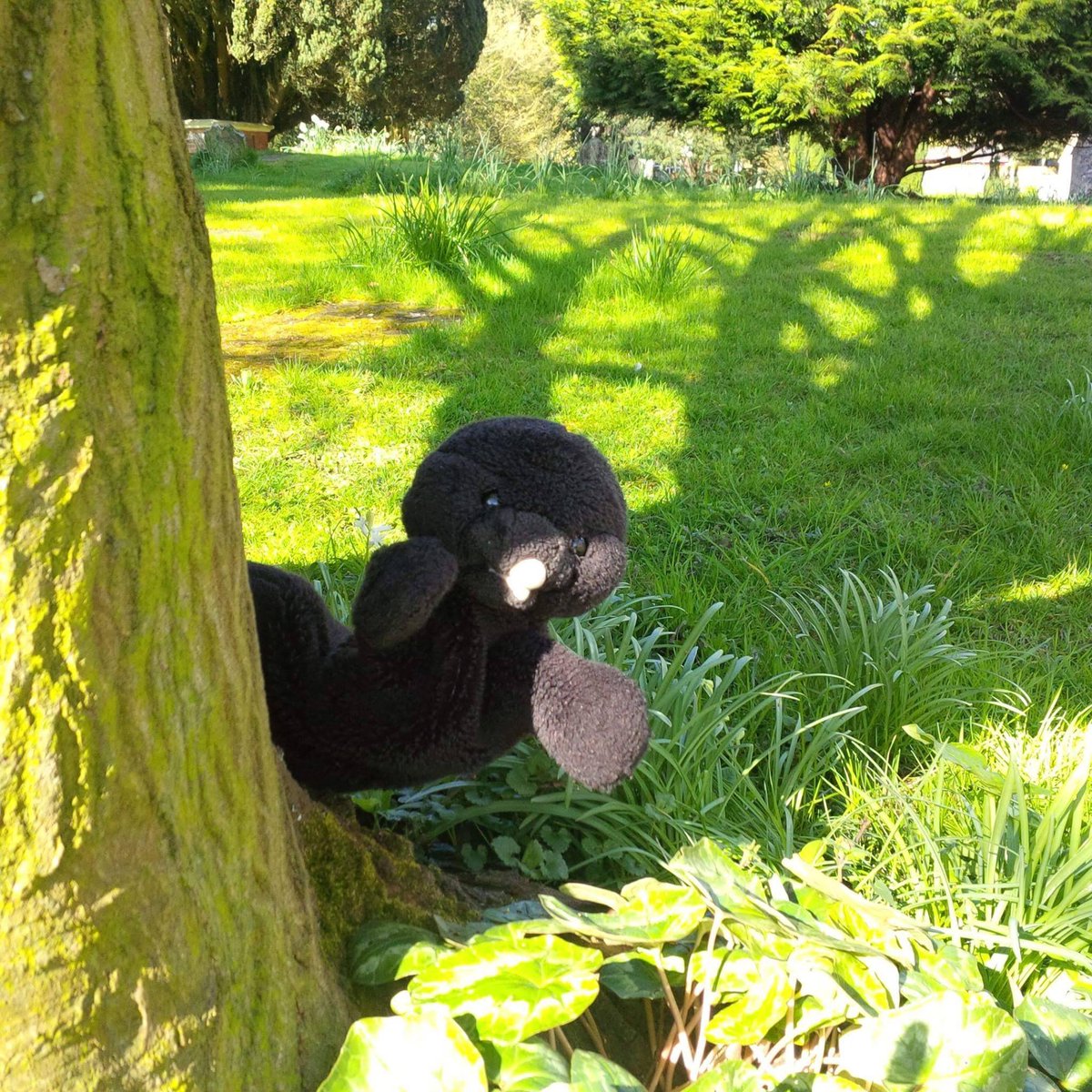 20th December oh look everybody Mr Mole has come to wish you a Happy Christmas.