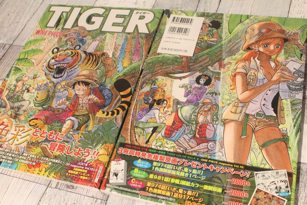 One Piece麦わらストア渋谷本店 おすすめ 尾田栄一郎画集 Tiger Color Wark 9 1 980円 税込 好評発売中 麦わらストア Onepiece