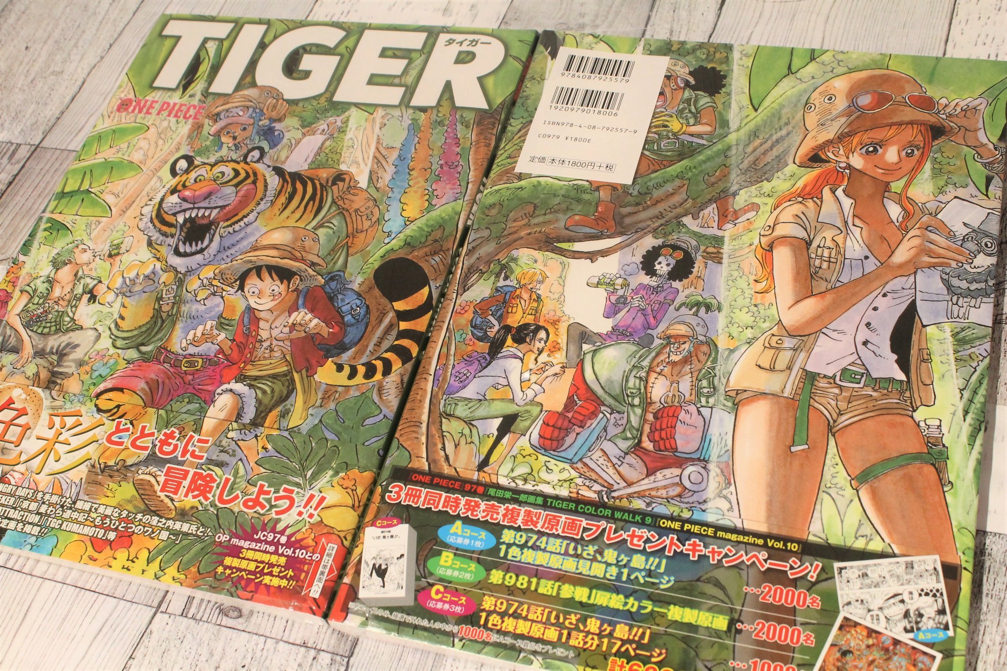 One Piece麦わらストア渋谷本店 A Twitter おすすめ 尾田栄一郎画集 Tiger Color Wark 9 1 980円 税込 好評発売中 麦わらストア Onepiece
