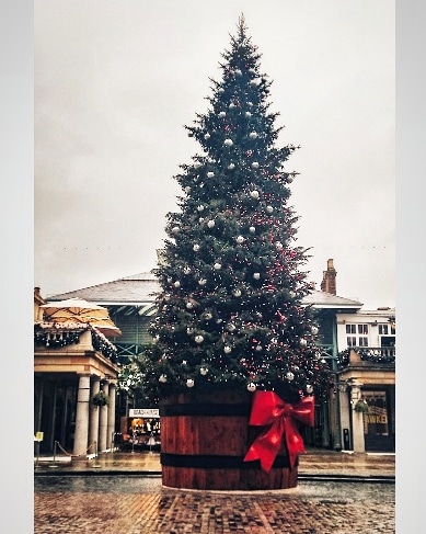 wanderingwus's tweet photo. Londra entra in quarantena e l'albero di Covent Garden resta nella piazza vuota. Le restrizioni di livello 4 appena introdotte nella capitale e in parti del sud-est dell'Inghilterra vietano alle persone di incontrare amici e familiari in casa durante le festività natalizie. https://t.co/eTckN77XQQ