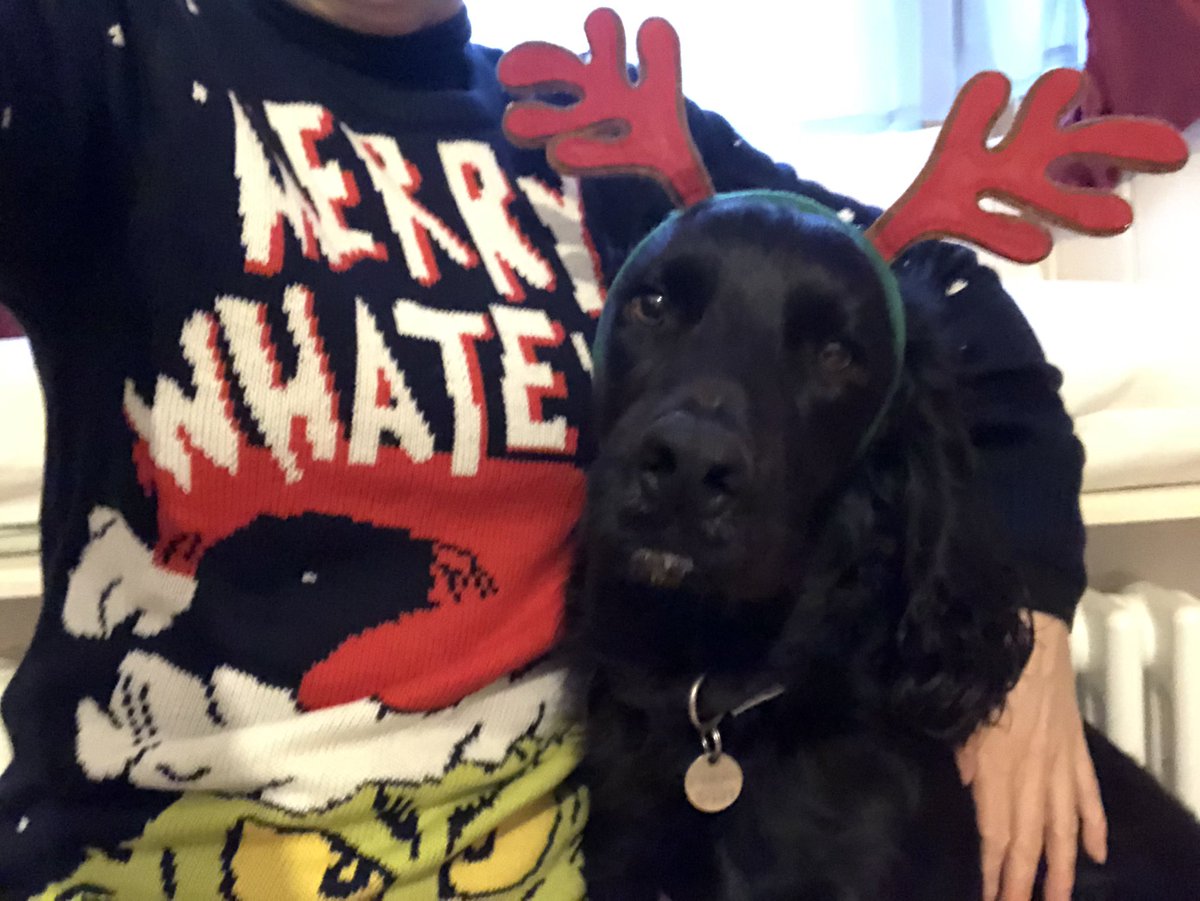 KTHallmark's tweet image. Merry Christmas 🎄 from me &amp;amp; @HearingDogs trainee Duke, he’s over seen a lot of jewellery making in between his Sound Work training hopefully he’ll pass his assessment next year &amp;amp; become someone’s ears 👂 
#WorkshopAssistant