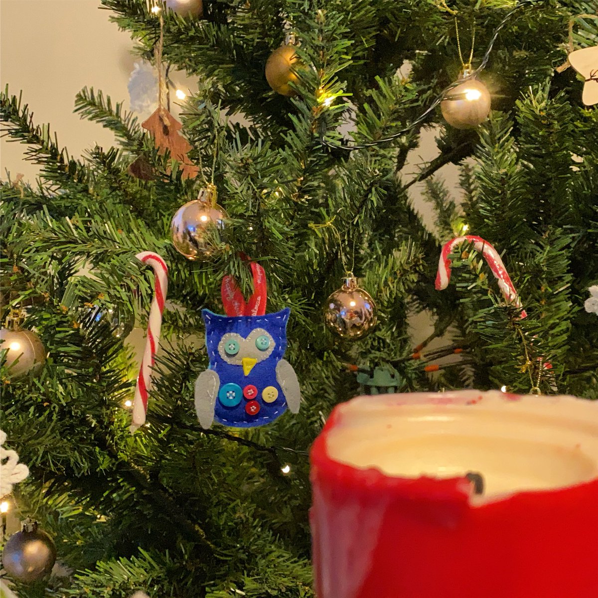 SupportDorset's tweet image. Please tune in to our online Carol service from 10am today: youtu.be/2XCRMSZcJN8

SupportDorset Churches in 2020. @dorchfamily #nativity #christmascarols