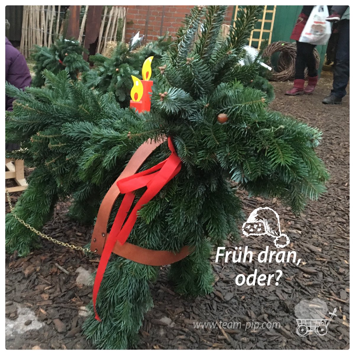 parentsinpanic's tweet photo. Wird denn heute schon angespannt? Trainingslager? 🎅🏽🛷

Team PiP sagt: Allen einen wunderschönen vierten Advent! 🥰🎄

#northpole #parentsinpanic #teampip #teamwork #spirit #creative #love #weihnachten #rudolph #schlittenfahren #testrun #reindeer #rednose #rednosereindeer #tree https://t.co/Wikcyy10ts