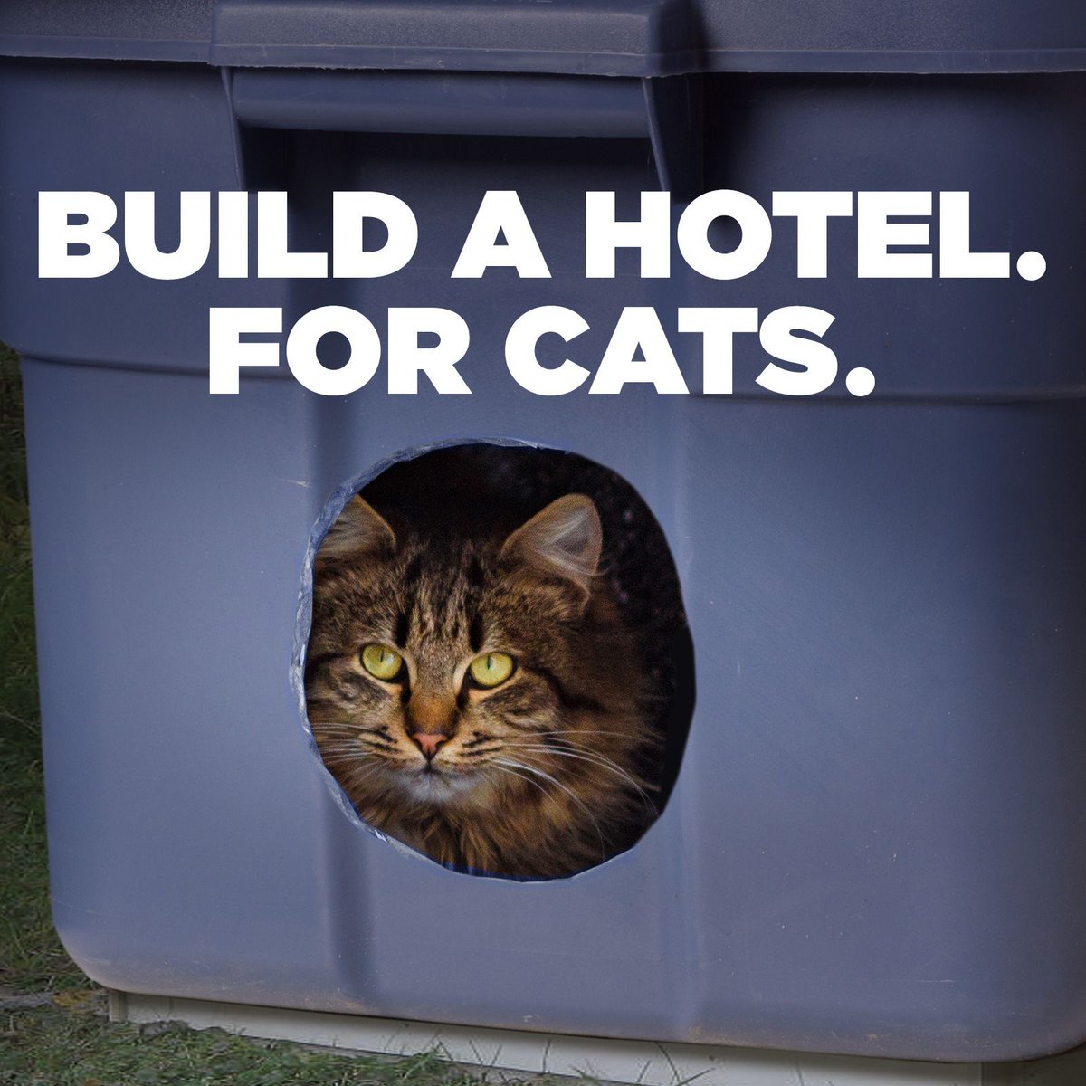 NeuteredScooter's tweet photo. Love animals? And DIY projects? Have we got a craft for you: Build a winter shelter for cats. Learn more: https://t.co/37XoILk9Wx
#hotelforcats #catDIY #communitycats https://t.co/5WFuwnjixz