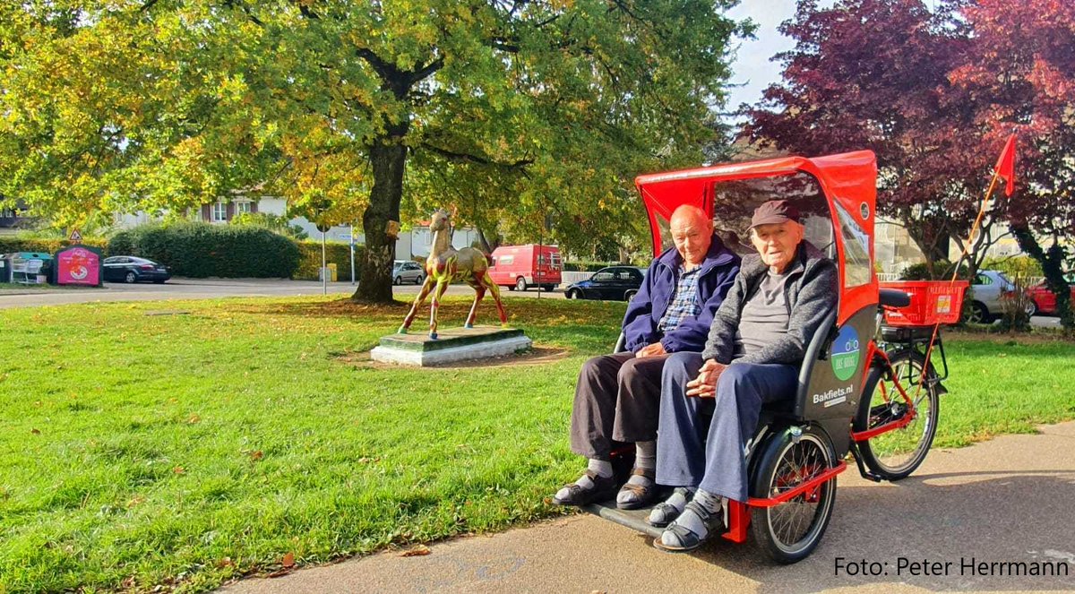 DPLotterie's tweet photo. Am #InternationalHumanSolidarityDay möchten wir daran erinnern, wie wichtig gemeinschaftliche Verantwortung ist! Wir sind stolz, dank unserer Teilnehmer hunderte Organisationen unterstützen zu können, die täglich für #Solidarität eintreten!
#PostcodeEffekt
https://t.co/zeAuZ69EsG https://t.co/UKWTQuZIFa