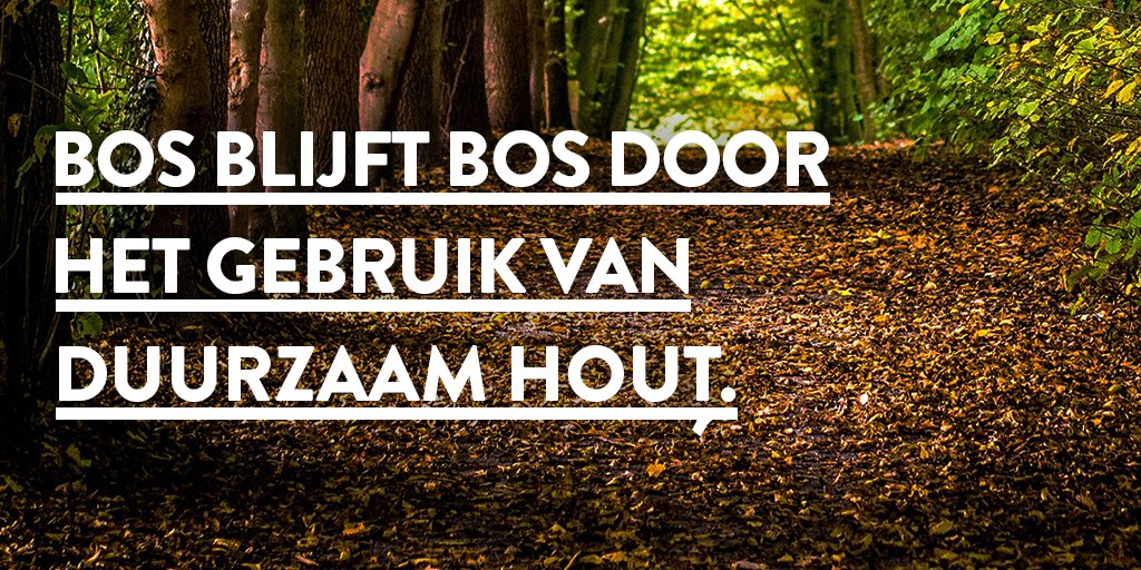 houtnatuurlijkvannu tweet media