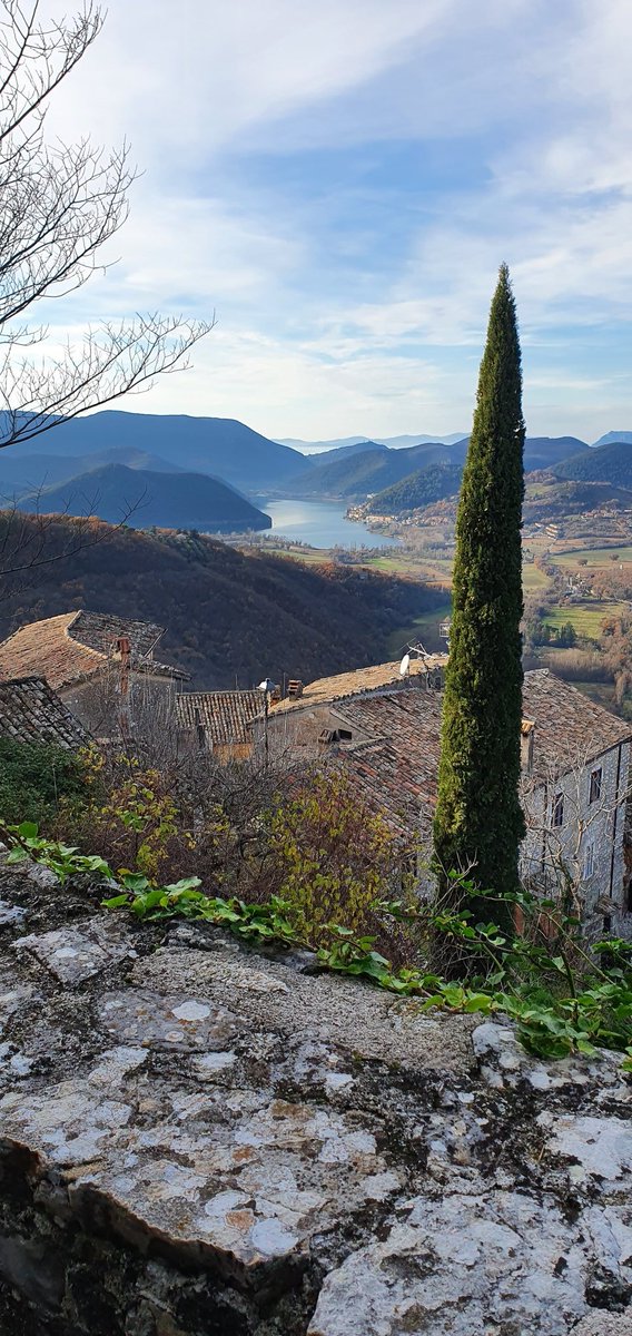 Max_Deidda's tweet image. #Labro