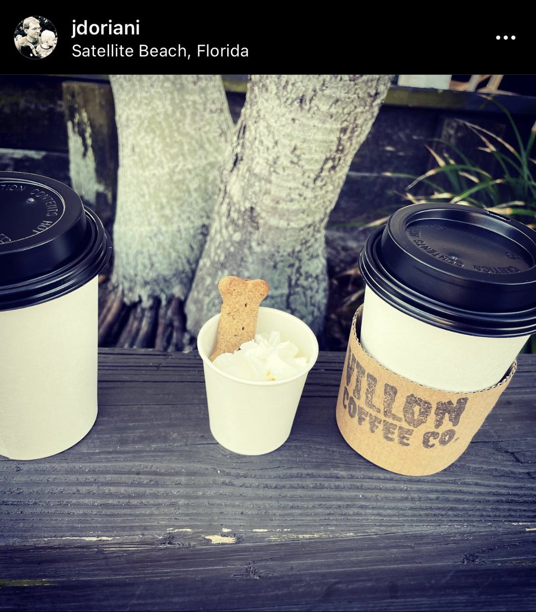 JDOriani's tweet photo. 1st #PupCup @villoncoffeeco #Beachside #HappyDog AmCreating https://t.co/LEmq85uUzf