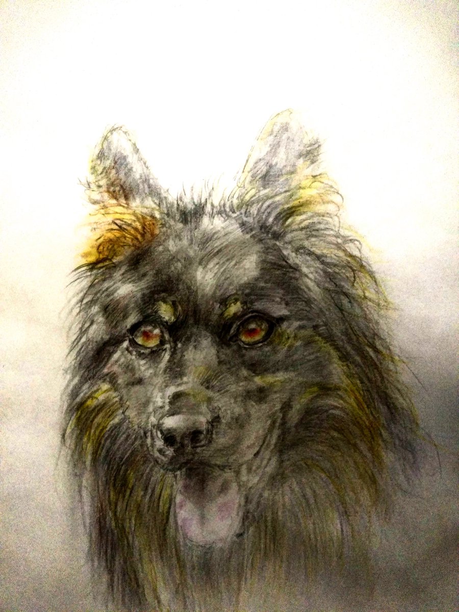 ジャーマン シェパード 油絵 手描き 原画 油彩画