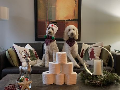 DoodleNessa's tweet photo. We're feeling generous..
How about a lock-down giveaway?
To enter + win this fab prize you must:
Tag a friend
Like
RT
😂
#ChristmasInLockdown
#christmasinevergreen 
#Christmas https://t.co/ztD8ToLzyO