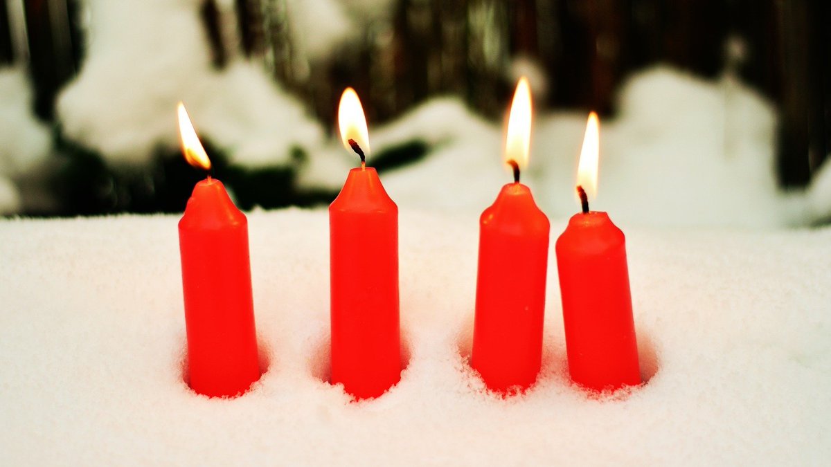 InnotechG's tweet photo. Der 4. Advent läuft …Warum es mit innotech läuft wie geschmiert – und noch viel besser? Erfahren Sie mehr vorab unter https://t.co/bcUHPU1UlE und lassen Sie uns miteinander sprechen!

Herzliche Grüße, Ihr innotech-Team!

#advent #weihnachten #wartungschemie #instandhaltung https://t.co/pPY46z7Hph