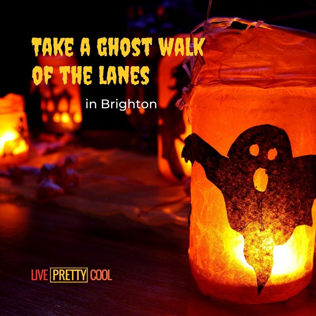 Pretty Cool Things to Do in Brighton tweet media