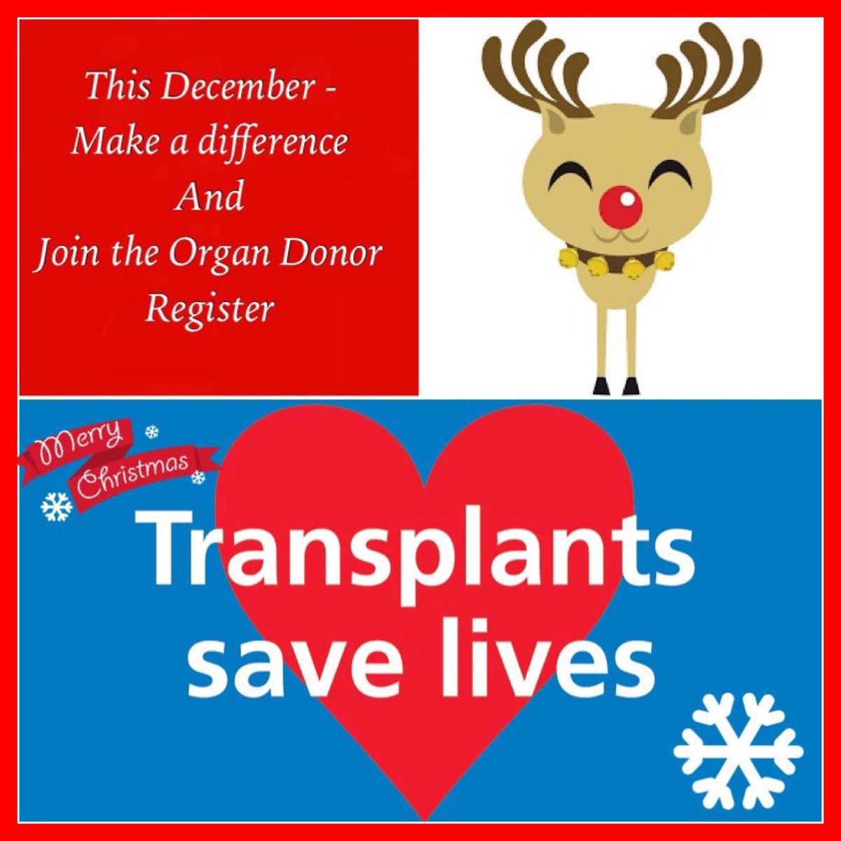 hearts_matteruk's tweet photo. RT-                                                    
This December 
Make a difference         
and 
Join the Organ Donor Register ❤️❣️❤️

#MakeADifference #ShareYourWishes #RachelsDonorInOurHeart❤️@DonorFamilyNetw @NHSOrganDonor @NHSBT @share_wishes @NewcastleHosps @fhlta https://t.co/3q5REpOhZW