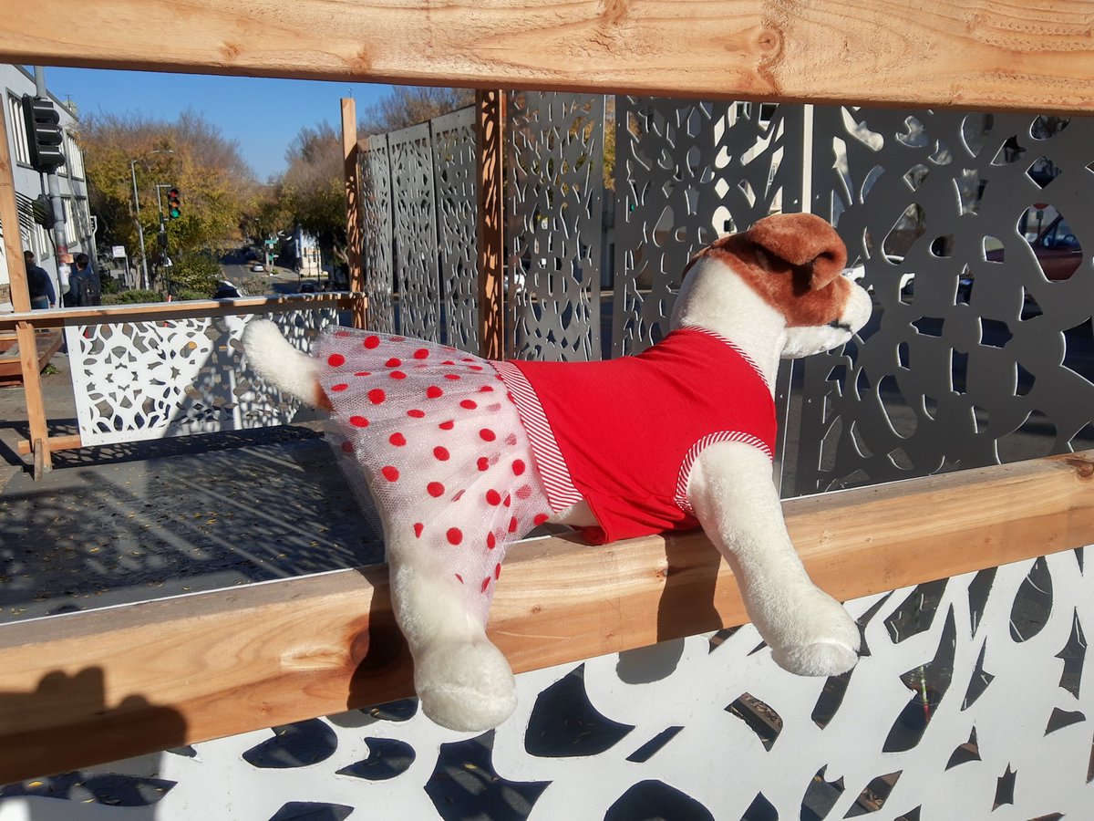 dogabanapet's tweet photo. Isn't this the ultimate Xmas look for our furry buddies? The red dog dress with a polka dotted tutu. #dogclothing #Xmasdog #Christmasdog #ChristmasGift #dogsofsanfrancisco https://t.co/ZxVZjdyaHq
