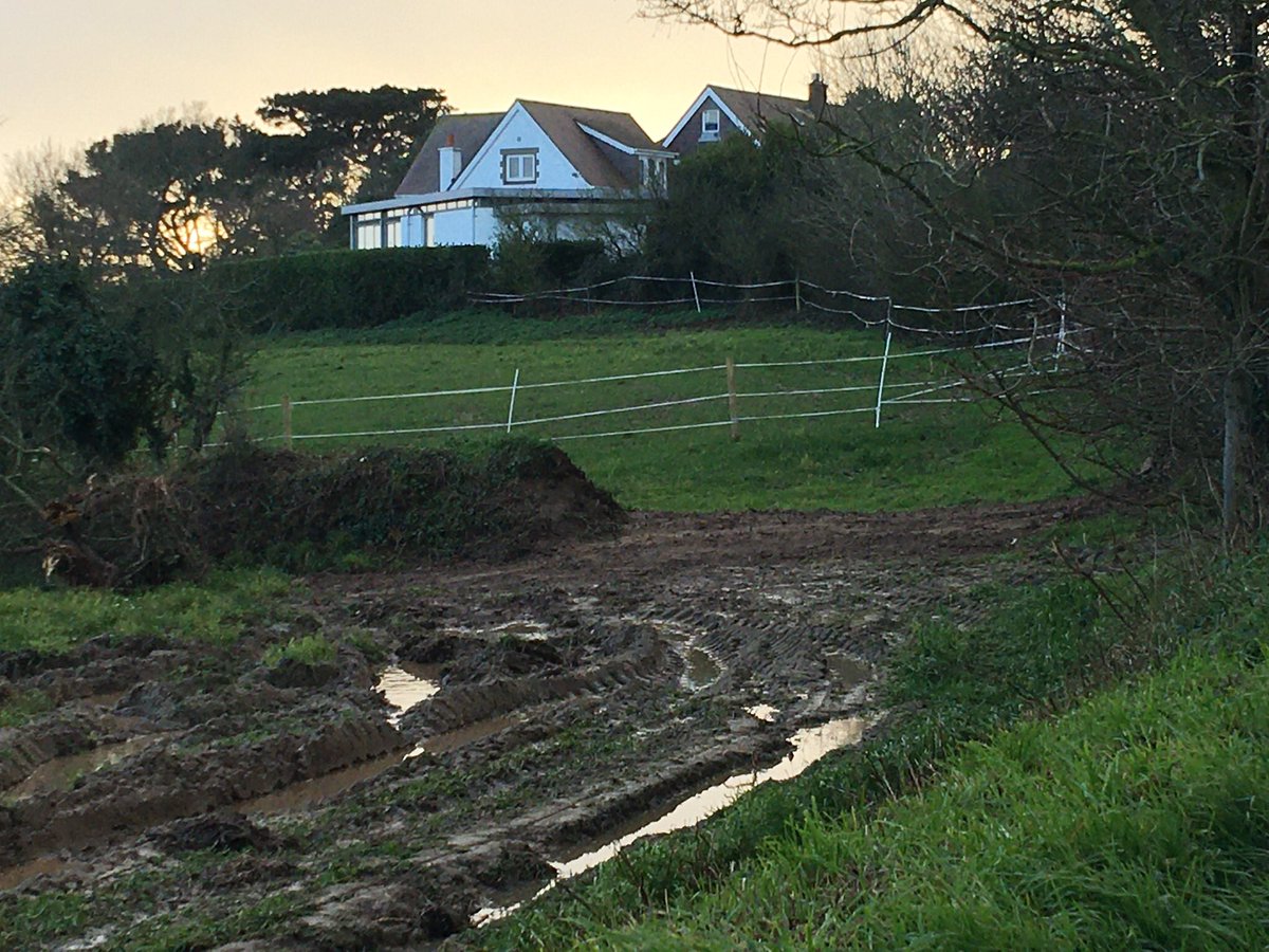 With NTJ having planted 20 miles of hedgerows over the last 18 months it is sad to see hedges & banks apparently ripped up in St Mary..let’s hope they are going to replant @GovJersey @jsynationalpark @JessePerchard @jerseywildlife @lyndonfarnham