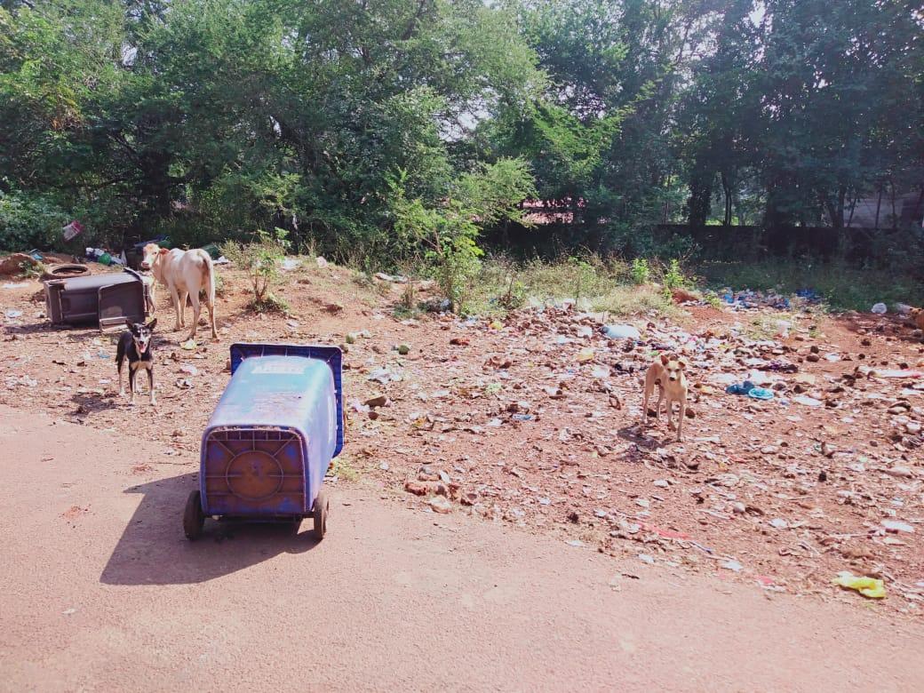 GPNewsMedia24's tweet image. #GarbageCampaign
📍  Near Dada Vaidya High School, Curti Ponda 

If you Come Across any Such Garbage Zone, Click the Best Photo of Dirtiest Garbage &amp;amp; Whatsapp on 950-345-71-74 along with Your Name and Location...
We will Publish it on GP News &amp;amp; Give you Photo Credits