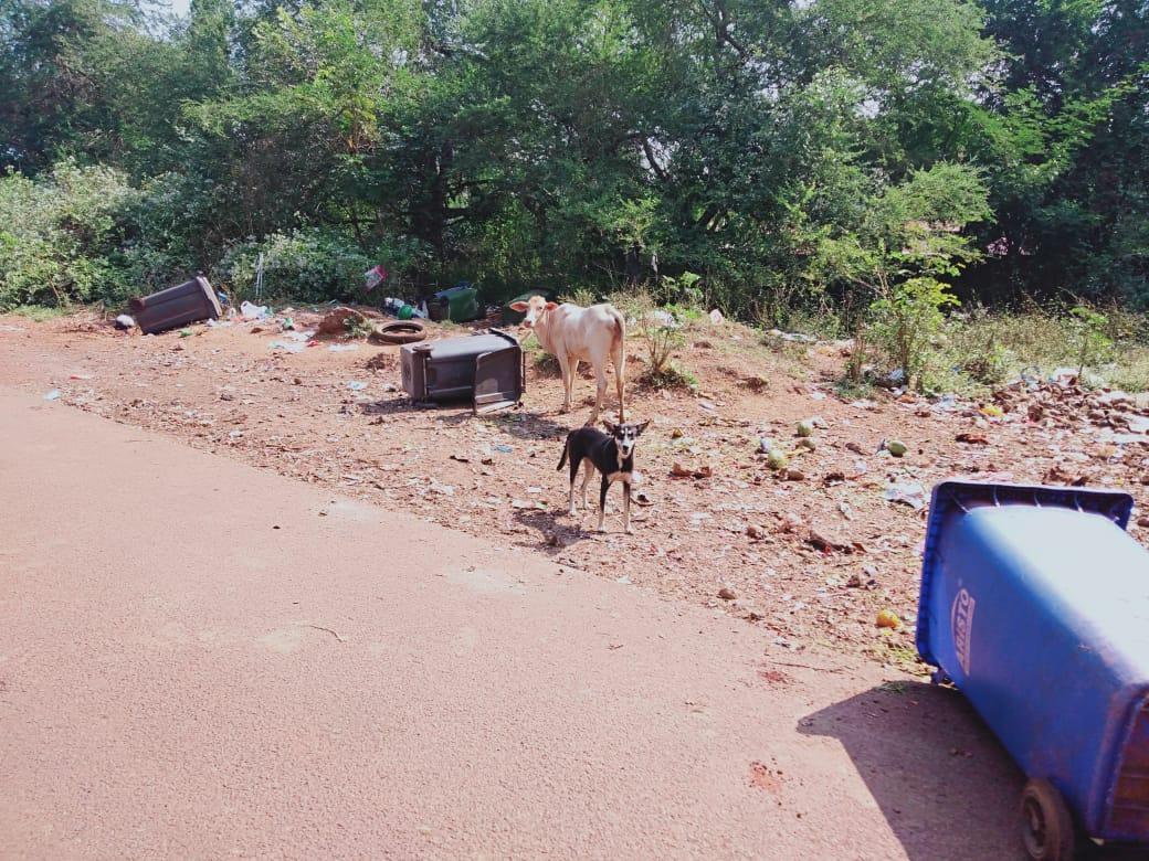 GPNewsMedia24's tweet image. #GarbageCampaign
📍  Near Dada Vaidya High School, Curti Ponda 

If you Come Across any Such Garbage Zone, Click the Best Photo of Dirtiest Garbage &amp;amp; Whatsapp on 950-345-71-74 along with Your Name and Location...
We will Publish it on GP News &amp;amp; Give you Photo Credits