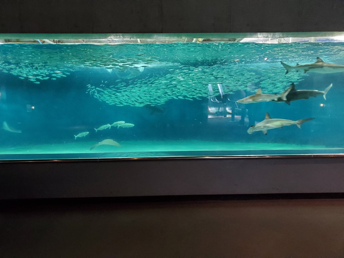 消されるなこの想い忘れるな我が痛み