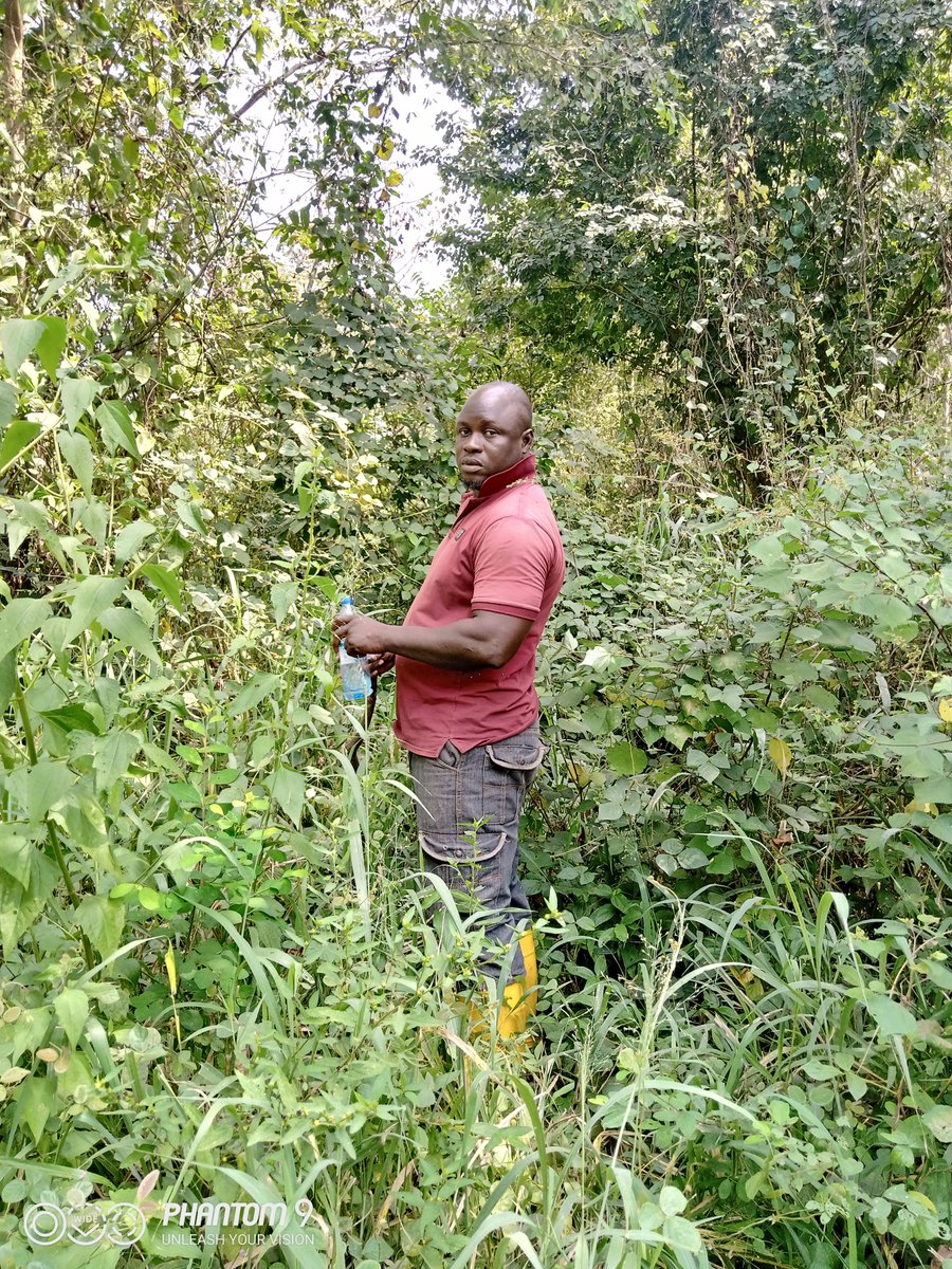 is_agbe's tweet photo. Akins at farm.
Agbeloba https://t.co/PuiUpaFEZ9