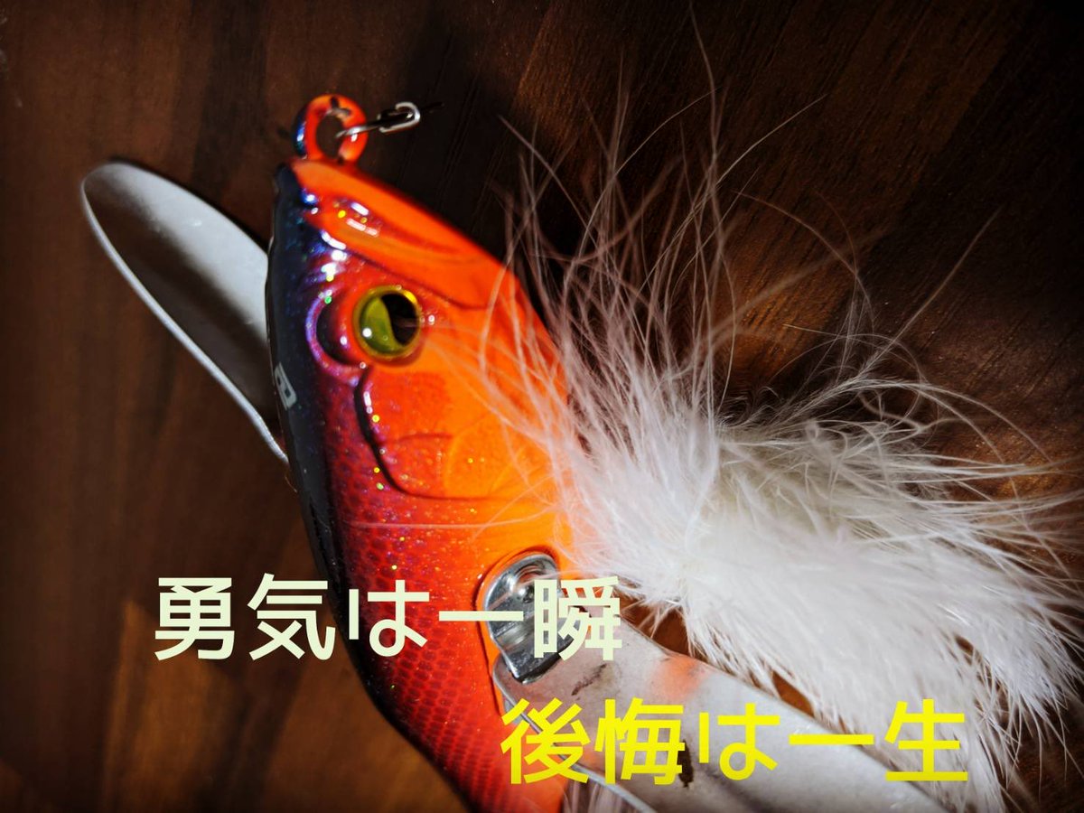 ありたかワールド Youtube 今日の名言 ありたかワールド バス釣り 茨城サーフ 釣り 霞水系 ありたかワールド Youtube 今日の名言 ありたかワールド バス釣り 茨城サーフ 釣り 霞水系