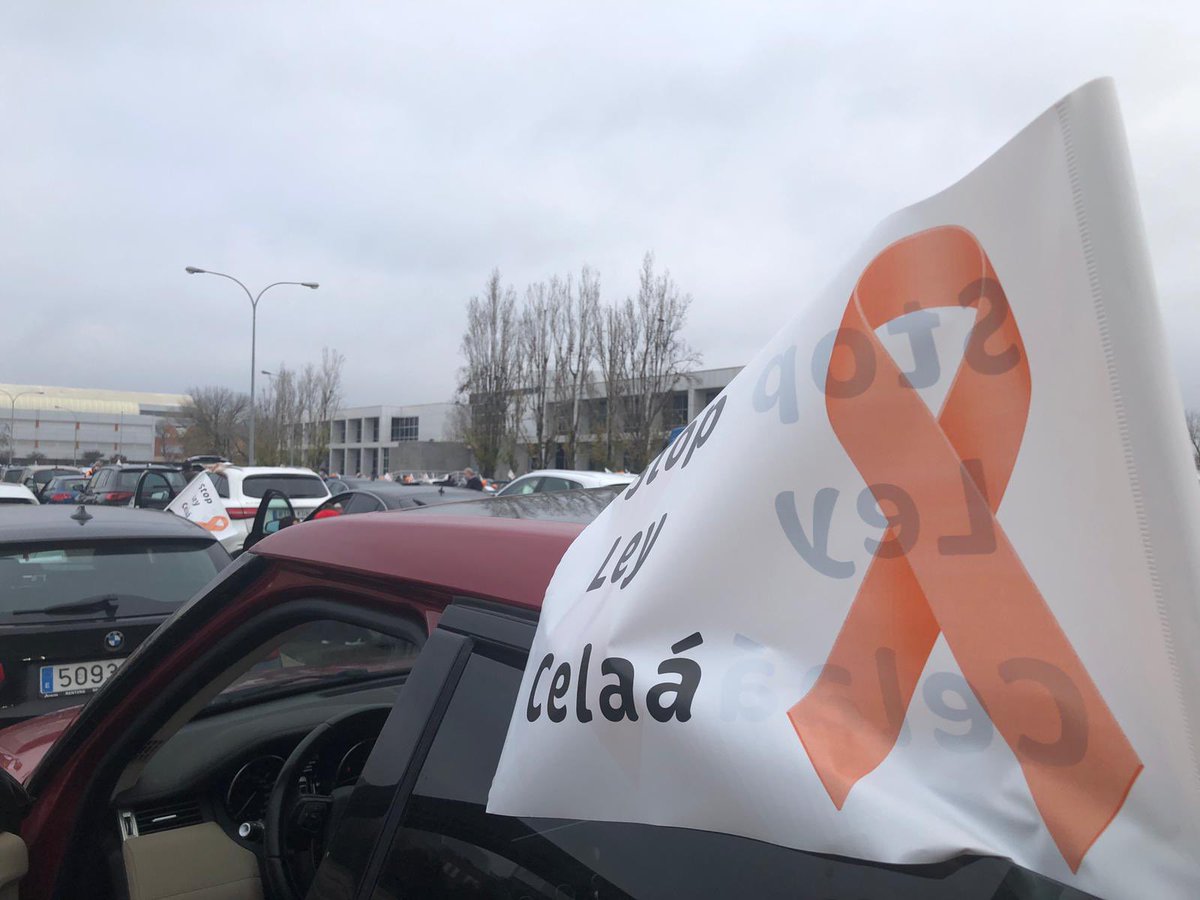 🚫 STOP LEY CELAÁ 🚫
Por el derecho a elegir la educación que queramos. 
#colegiosangabriel #colegiosangabrielzuera  #stopleycelaá #másplurales #máslideres #másiguales #colegiosg #porelderechoaelegirlaeducacionquequeramos #zuera #manifestacion20dediciembre #pasionistas