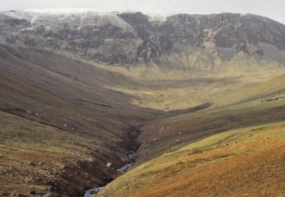 RewildScotland's tweet photo. Something positive.

Landscape-scale habitat restoration. The ecological rebirth of a Scottish glen. #RewildScotland @CarrifranWild 

📸 Ashmole @BordersForest https://t.co/l2O7vH1TmI