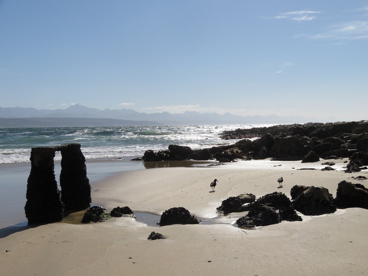 CoworkingJhb's tweet photo. SAVE PLETT! Beaches are the main catalyst to tourism & survival of the economy in Plettenberg Bay! #SavePlett #COVID19 #plettitsafeeling #PlettSummer #safetravels #StayStrongStaySafeSA #Plett #PlettenbergBay #MeetOurSouthAfrica #TravelBugSA https://t.co/dxQipUjFvK https://t.co/jXS550e6Rl