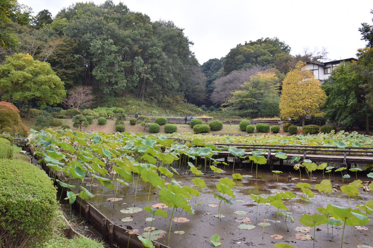 ramunephoto's tweet photo. #214
2020年11月
薬師池公園⑬ https://t.co/xzc7iXg1X1