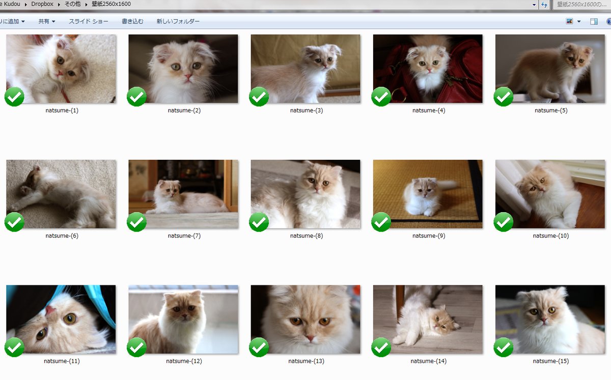 工藤マリ絵 ハンドメイド オイラのpc壁紙 スライドショー の一部 ヒバやんのも作らなきゃ スコティッシュフォールド スコティッシュ 猫 猫がいる暮らし なつめさん 猫のいる生活