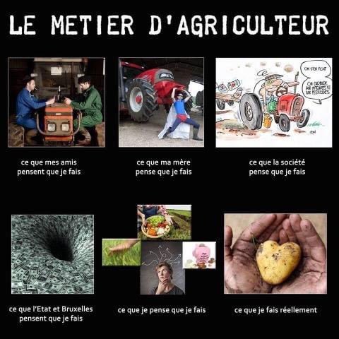 agritof60's tweet photo. #agriculture vision sur notre métier 🇫🇷🤔 @GuyotVincent02 @ChLambert_FNSEA @RemDumDum @DesrumauxRegis @EricTHIROUIN @ChargeDom @jmleluc @laurent_vittoz @benj_thi @BegonThomas @emma_ducros @ggomez_chef @EuroToques1 @Herve_Pillaud @Fragritwittos @Agridemain @FrancoisArnoux https://t.co/khrQxajYAA