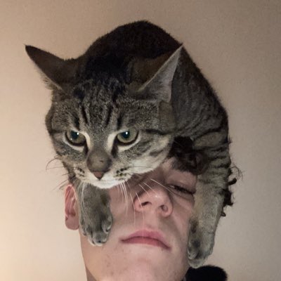 JulienGrison tweet picture