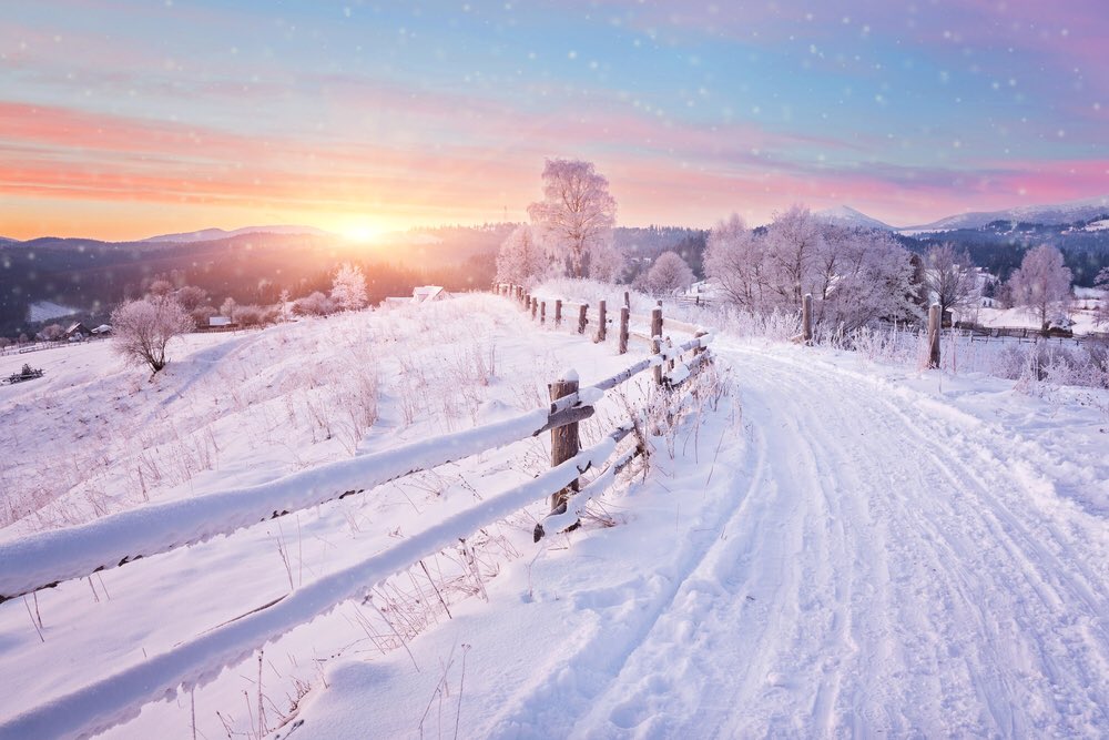 AdventuresDrea1's tweet photo. “I heard a bird sing in the dark of December. A magical thing. And sweet to remember. We are nearer to Spring than we were in September. I heard a bird sing in the dark of December.”
― Oliver Herford
.
#NewYear2021 #christmasiscancelled #travel #coronavirus #CoronaVaccine https://t.co/QCz4hjcjOQ