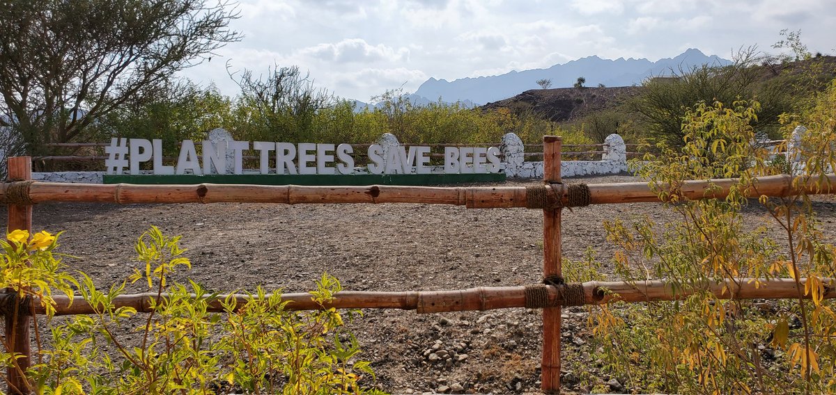 21_aarush's tweet photo. Plant trees save the bees Thank you HE Engr. Sheikh Salem Bin Sultan Bin Saqr Al Qasimi and EEG @eegemirates @HamdanMohammed @HHShkMohd https://t.co/17LX8JAZEI