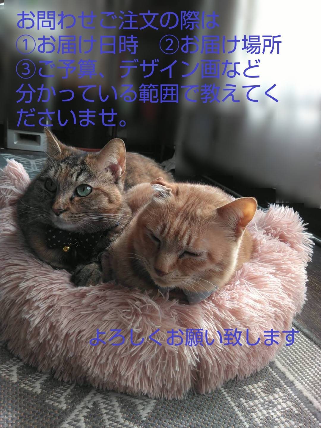 プラネットアズーロ Planetazzurro Twitter