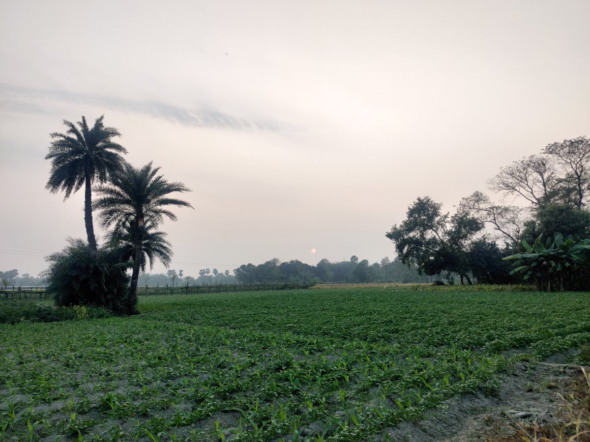 Villfood_bpnf's tweet photo. Pristine #Farms our way to #EatNaturalLiveHealthy #Villfood https://t.co/okzJjGeXto