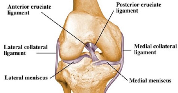 howtorelief's tweet image. In the #exam_room, OR, or the #research_lab, these are some of the top sports #knee_surgeons in #North_America. We sought out leading sports #medicine_surgeons.
#Sports_Medicine #Orthopaedic_Center #Chicago #Occupational_Orthopedics #Indiana #Indianapolis
howtorelief.com/top-rated-knee…