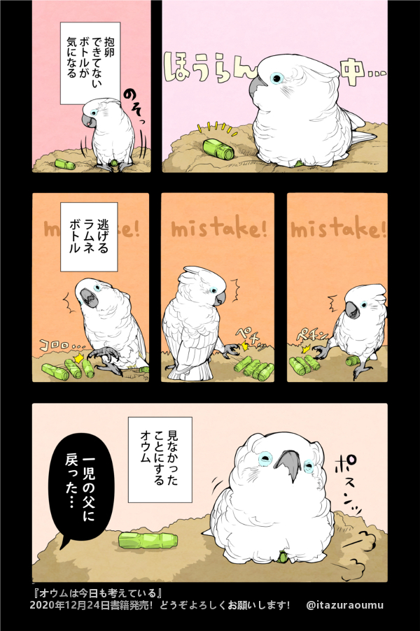 オウム(オス)のラムネボトル抱卵記録 

#漫画 #オウムは今日も考えている 