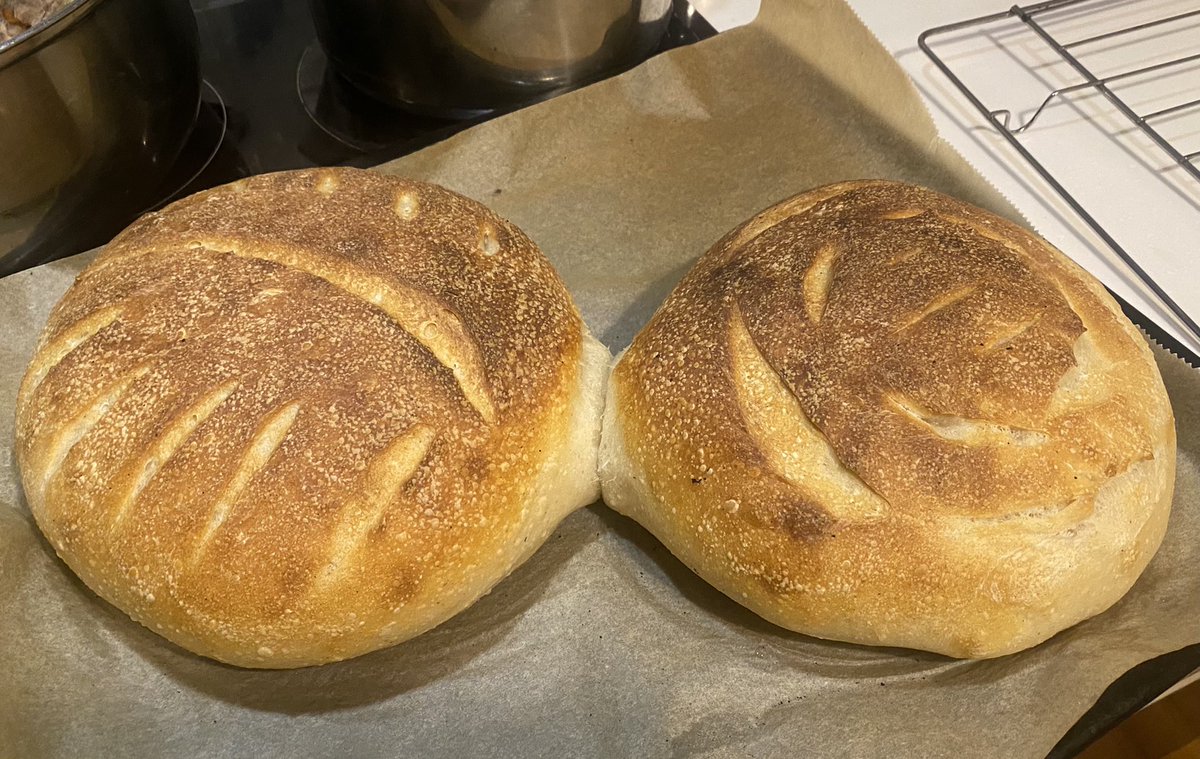 Nemekh5's tweet image. #HomeBread Гэрийн талх. Амьд хөрөнгө гэж их эмзэг "амьтан" юм байна. #ЖиваяЕда #Хлеб #Талх #Bread