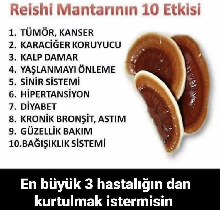 aylance's tweet photo. #ganoderma #sağlıkiçin https://t.co/fqPEHJJxNv
