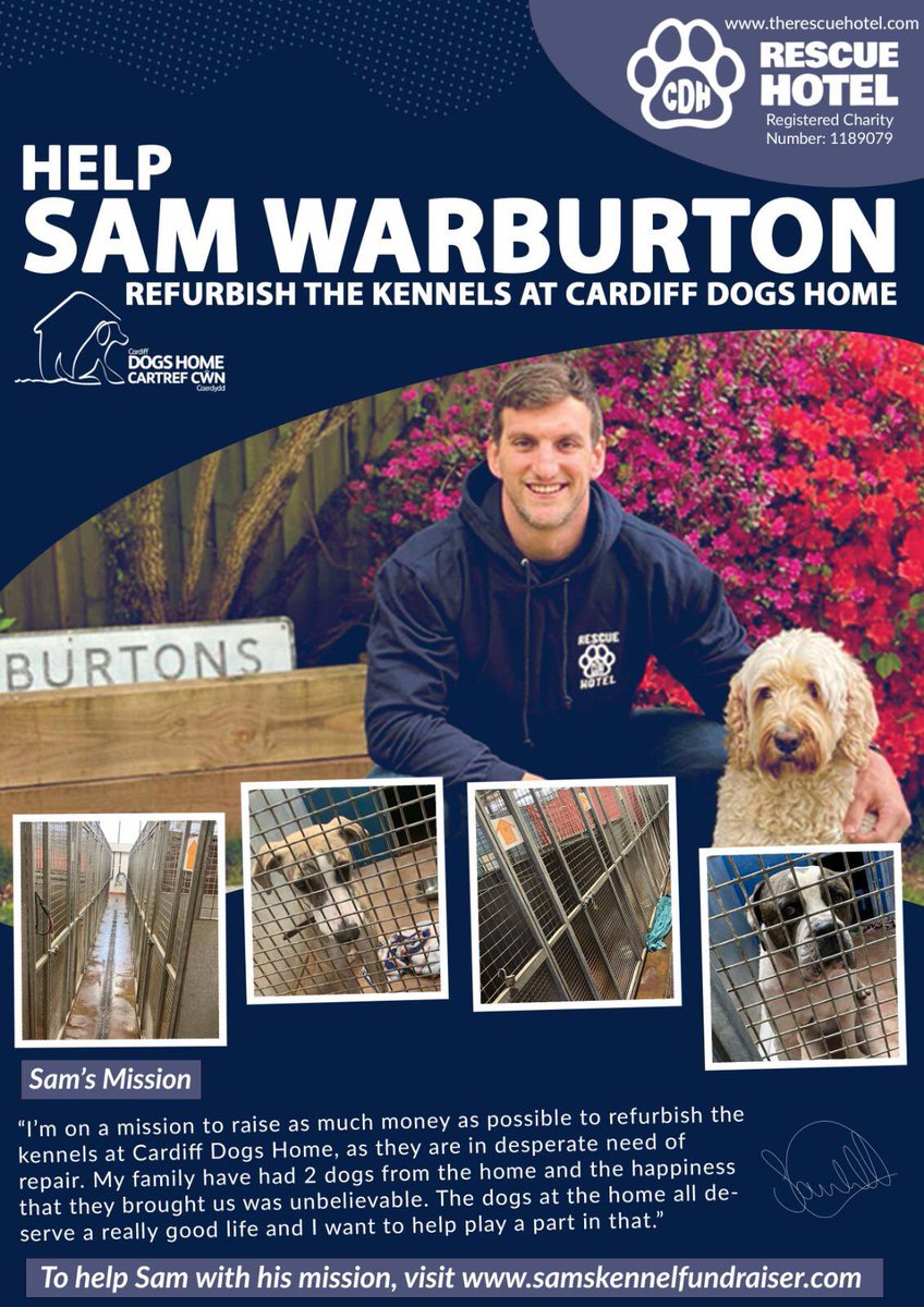 Cardiff Dogs Home, The Rescue Hotel tweet media