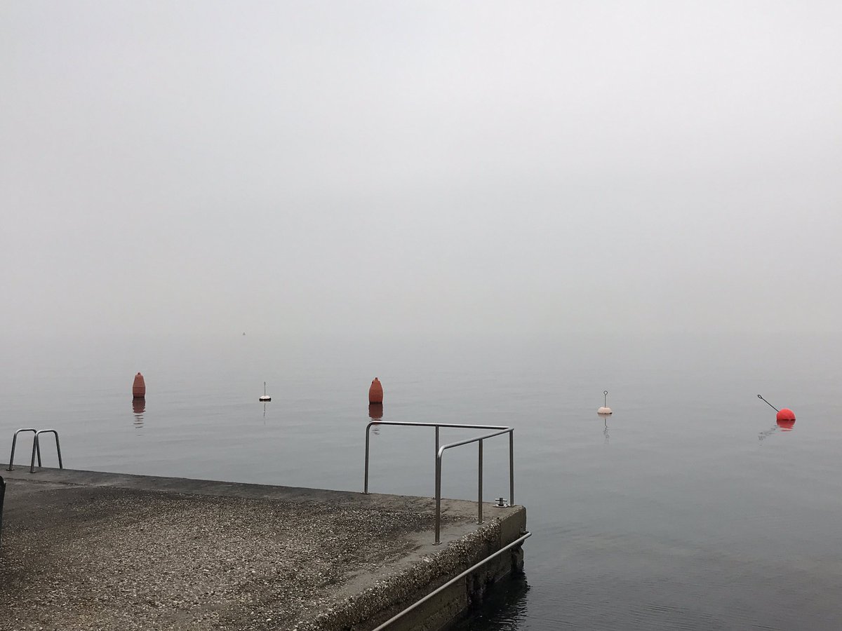 sangermax's tweet photo. #trieste #sbvg #barcola #umidita92% #limbo #marecielo #20dicembre #COVID19 #lockdown #seaside #adriaticsea #ita #aus #slo #mitteleuropa #foschia #fog #societavelica https://t.co/BHf9sypRhU