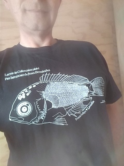 landaicio's tweet photo. My t-shirt have a nice scientific drawing of a Callanthias larva, made by @franichthys and @LeviatanStore https://t.co/X206V56dUN